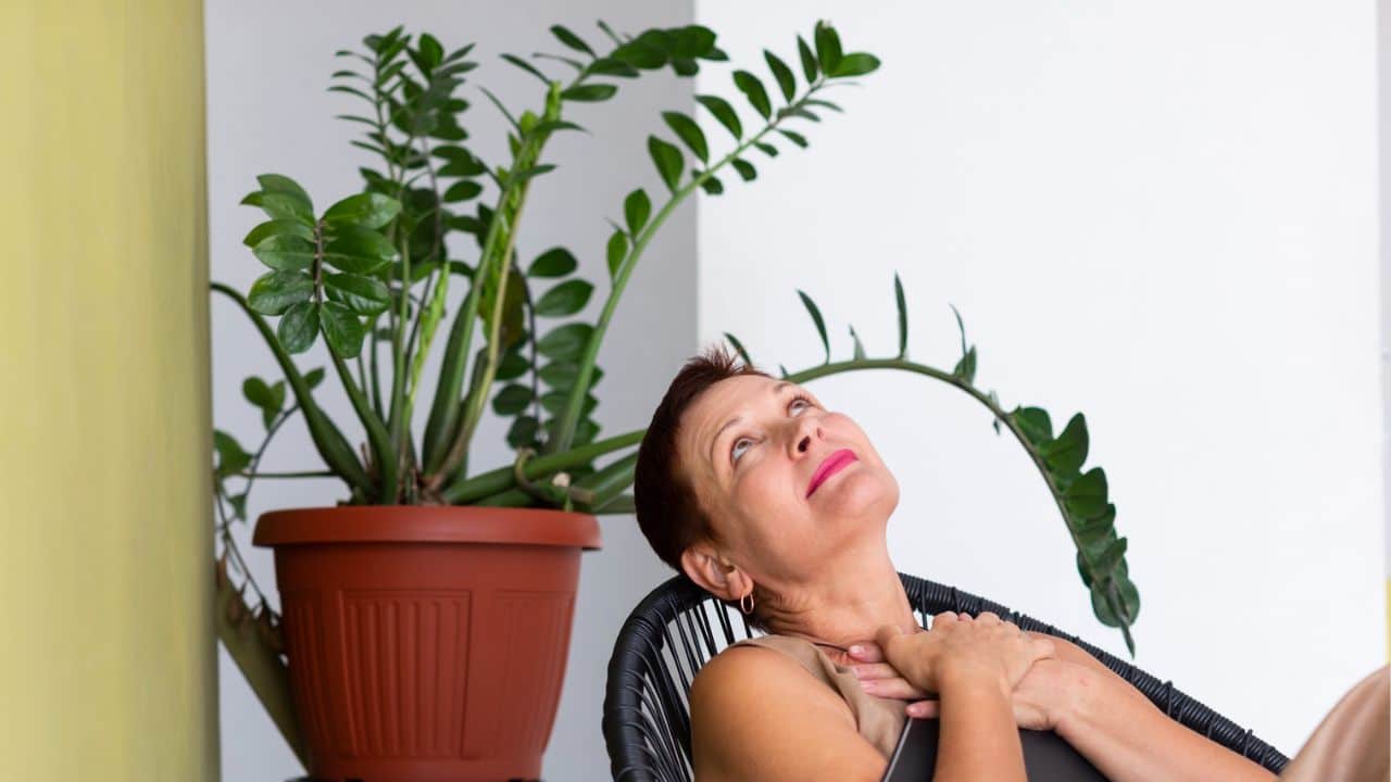 Plantas de casa GRANDES: Faça elas crescerem com este truque fácil