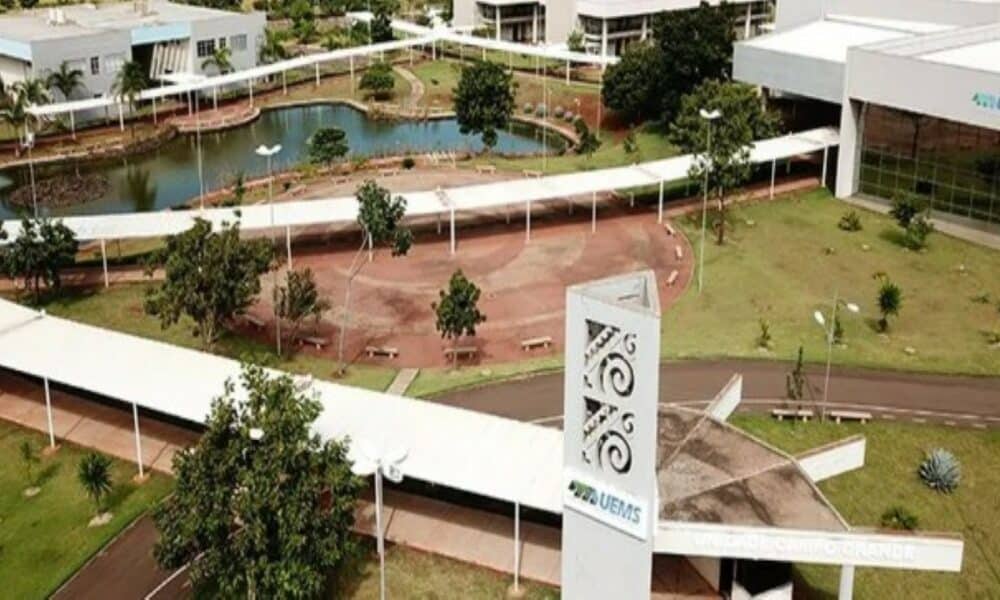 Universidade Estadual de Mato Grosso do Sul (UEMS)